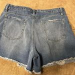 YMI Jeans  Shorts Photo 3
