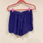 IRO  Purple Gaely Shorts Size Medium EUC Photo 3