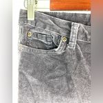 Cielo Jeans 30 11 Cotton Micro Corduroy with Stretch Pants in Purple Tinted Gray Photo 2