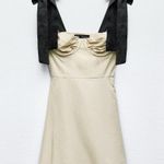 ZARA Ruffled Mini Dress Photo 6