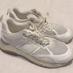 ANINE BING  Sport Dina Sneakers Photo 3