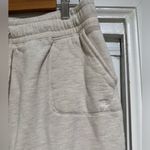 ALBION FIT  At Ease Joggers in Birch Photo 2