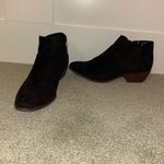Circus by Sam Edelman  Black Suede Ankle Booties Photo 4