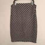 Max Studio #113  Stretch Knit Skirt Photo 1