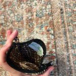 Vera Bradley  id wallet Photo 2