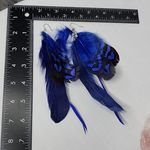 Boho Long Royal Blue Real Feather Earrings Photo 5