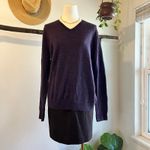 Banana Republic  Purple Merino Wool V Neck Pullover Sweater Unisex Size Large Photo 9