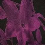 FINAL MARKDOWN Ladies' Carole Little Lined Floral Skirt (4) Photo 11