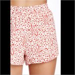 Cupcakes and Cashmere  Printed Shorts Photo 3