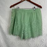 Torrid 5 Inch Pull-On Stretch Mesh Mid-Rise Mint Green Lace Short Size M NWT Photo 3