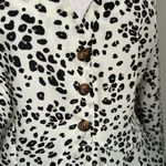Nasty Gal Deep V-Neck Leopard Print Button Up Long Sleeve Semi-Sheer Blouse Photo 3
