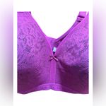 Cacique Cotton Collection Lightly Lined No-Wire Bra 46D – NWT Purple Lane Bryant Photo 2