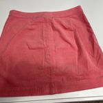 Daniel Cremieux Cremieux mini skirt size 14 Photo 6