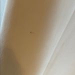 Club Monaco  Cropped Cream Pants size 4 Photo 2