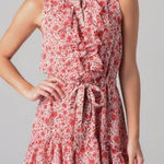 MISA Los Angeles MISA Eba Ruffle Mini Dress Sz. M Photo 0