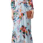 Hunter Bell Wildflower Leighton Long Sleeved Floral Dress | Size 4 Photo 0