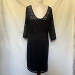 Bold Elements Lace Sheath Dress Sz XL Whimsigoth Witchy Gothic Formal Romantic Photo 7