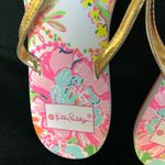 Lilly Pulitzer spring flip flops gold strap floral top NEW 9 Photo 3
