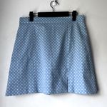 ZARA Light Blue with Mint Green Polka Dots Mini Skirt L NWT Photo 0