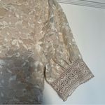 Nsr  Beige All Over Lace V Neck Fit & Flare Cocktail Mini Dress Size XSmall NWT Photo 5