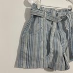 American Eagle  Striped Paperbag Shorts Photo 1