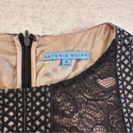 Antonio Melani  Black Lace Sleeve Dress Photo 8