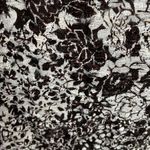 INC INTERNATIONAL CONCEPTS Brown & White Embroidered 3/4 Sleeve Top Size Large Photo 1