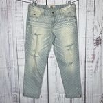 Hollister NWT Size 9/29 Blue Denim Stripe 100% Cotton Distressed Ankle Jeans Photo 0