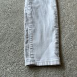 Artisan NY  Pants Photo 1