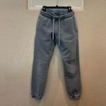 Talentless  Steel Gray Heavyweight Jogger Sweatpants Photo 3