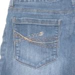 Canyon River Blues Canyon River 14 Modern Skinny Jeans Plus Photo 5