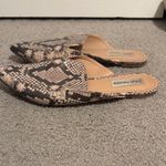 Steve Madden  Black and Cream Snakeskin Mules Photo 1