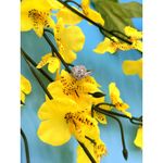 1 carat Moissanite Heart Shaped Cut Ring Moissanite Accents 8 Silver Photo 10