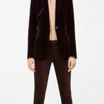 Massimo Dutti  SINGLE BUTTON VELVET SUIT BLAZER Photo 4