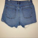 PacSun Womens Size 30 Slightly Washed Distressed Mom Short Photo 7