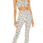 Beach Riot  L Ayla High-Rise Legging Primary Leopard Workout Gym Crop Yoga Ribbed Photo 15