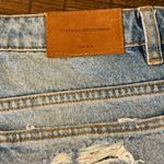 ZARA TRF Floral Embroidered Cotton Denim Shorts Blue High Rise Size 4 Photo 4