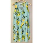 J. Jill Love Linen Lemon Print Sleeveless A Photo 4