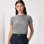 Quince  Mongolian Cashmere Tee Photo 1