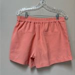 Skies Are Blue Women’s Stretchy Pastel Orange Embroidered Women's Shorts Medium Photo 4