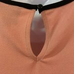 Beige by eci Pink Black Trim Flowy Peplum Ruffle Blouse Top Medium Workwear Photo 2