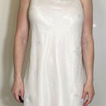 Lord and Taylor Gorgeous  Cream Slip Dress with Silver Floral Design Size M Photo 0