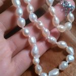 Peach Freshwater Pearl Stainless Steel Necklace Photo 9