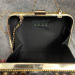 Lulus 🌹 Bejeweled Clutch/Crossbody Purse Photo 7