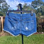 Rag and Bone  Jean The Cut Off Shorts in Freeport Wash Size 24 Photo 3