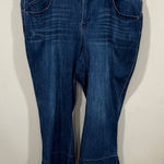 Democracy  Womens Size 20W  Indigo Ab Technology High Rise Ankle Jeans Photo 0