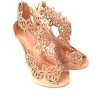 Sparkly Laser Photo 1