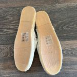 Soludos  Rose Mule Photo 2