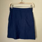 Massimo Dutti Skirt Photo 2