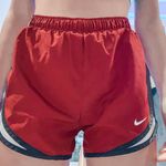 Nike Short Running Shorts Photo 0